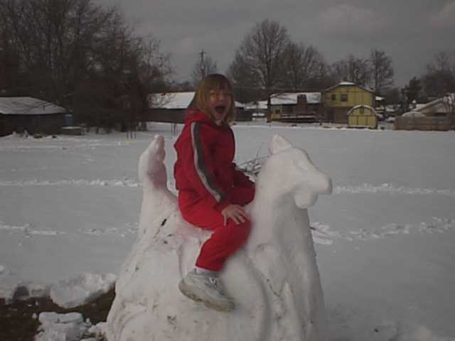 Chicken Snow